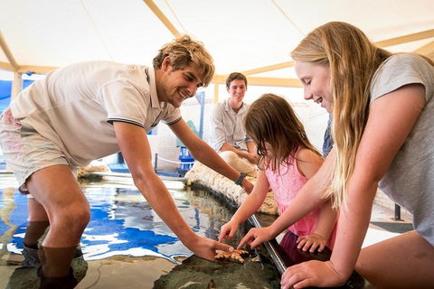 AQWA The Aquarium Of Western Australia: General Admission - Redcliffe Tourism 5