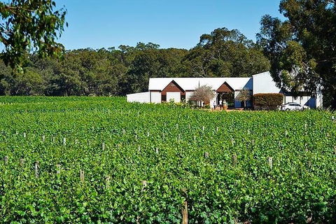 Upper Reach Winery: Swan Valley Winery And Vineyard Tour - Redcliffe Tourism 0