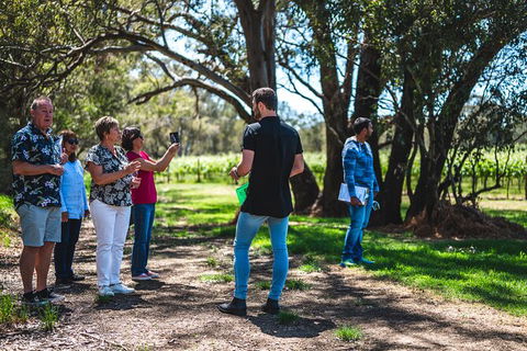 Upper Reach Winery: Swan Valley Winery And Vineyard Tour - Redcliffe Tourism 8