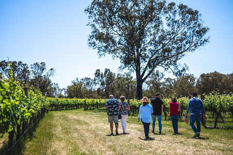 Upper Reach Winery: Swan Valley Winery And Vineyard Tour - Redcliffe Tourism 3