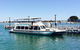 Full-Day Penguin Island & Mandurah Canal Cruise - thumb 1