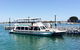 Full-Day Penguin Island & Mandurah Canal Cruise - thumb 6