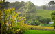 Half-Day Swan Valley & Wildlife Park Tour - thumb 0