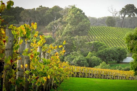 Half-Day Swan Valley & Wildlife Park Tour - Redcliffe Tourism 0