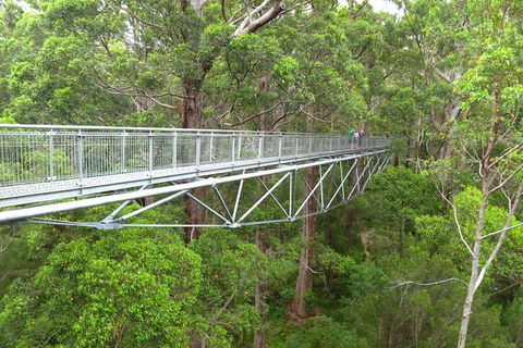 Albany Southwest Wilderness Day Tour - Fly From Perth - Redcliffe Tourism 0