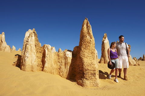 4-Day Coastal Loop Via Monkey Mia Wild Dolphins Kalbarri Pinnacles Perth Return - Redcliffe Tourism 4