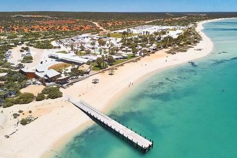 4-Day Coastal Loop Via Monkey Mia Wild Dolphins Kalbarri Pinnacles Perth Return - Redcliffe Tourism 10