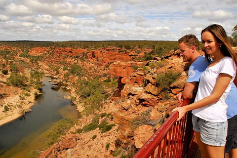 4-Day Coastal Loop Via Monkey Mia Wild Dolphins Kalbarri Pinnacles Perth Return - Redcliffe Tourism 11
