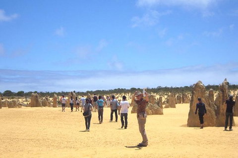 Pinnacles & Rottnest Island Scenic Air & Ground Tour - Redcliffe Tourism 10