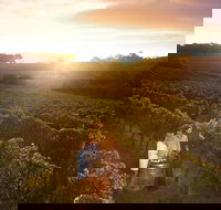 Leeuwin Estate Food and Wine Experience - Redcliffe Tourism