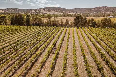 Small Group Swan Valley Premium Winelovers Experience - Redcliffe Tourism 3