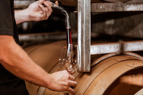 Small Group Swan Valley Premium Winelovers Experience - Redcliffe Tourism 11