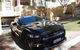 Wineries And Wildlife - With Mustang V8 Fastback - thumb 0