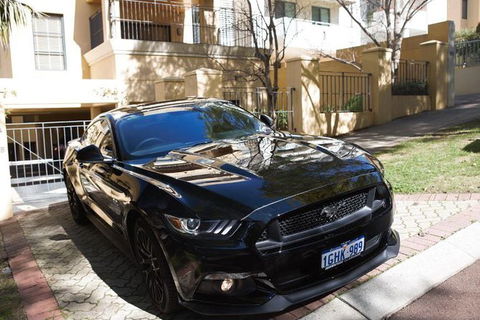 Wineries And Wildlife - With Mustang V8 Fastback - Redcliffe Tourism 0