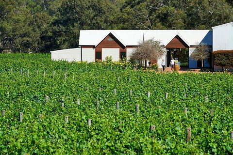 Wine 101- Wine Education Classes - Redcliffe Tourism 5