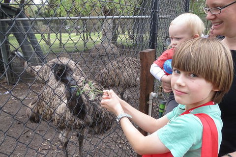 Swan Valley Half-Day Food Tour And Wine Trail From Perth - Redcliffe Tourism 6
