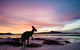 6-Day Esperance Adventure Tour From Perth - thumb 4