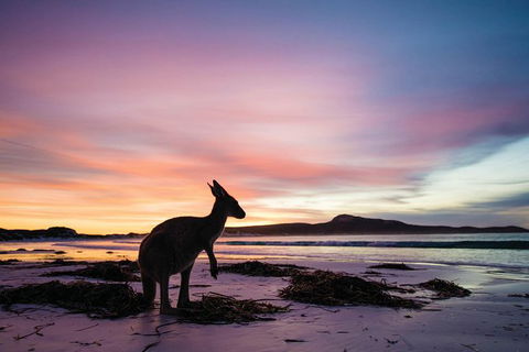 6-Day Esperance Adventure Tour From Perth - Redcliffe Tourism 4
