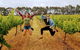 6-Day Esperance Adventure Tour From Perth - thumb 5