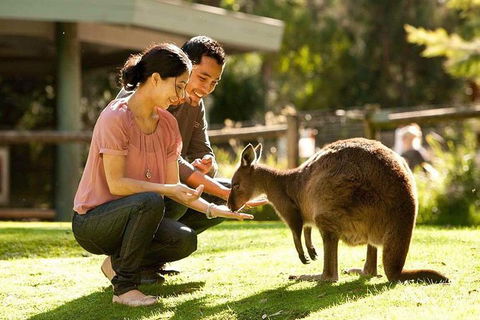 Very Best Of Perth Tour - Wildlife Park & City Highlights Tour - Redcliffe Tourism 0