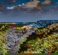 Guided Walks on the Cape to Cape - Wilyabrup Cliffs - Redcliffe Tourism