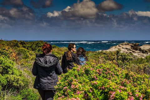 Guided Walks On The Cape To Cape - Wilyabrup Cliffs - Redcliffe Tourism 0