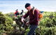 Guided Walks On The Cape To Cape - Wilyabrup Cliffs - thumb 4