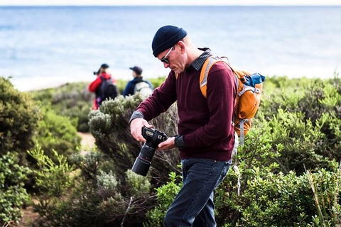 Guided Walks On The Cape To Cape - Wilyabrup Cliffs - Redcliffe Tourism 4