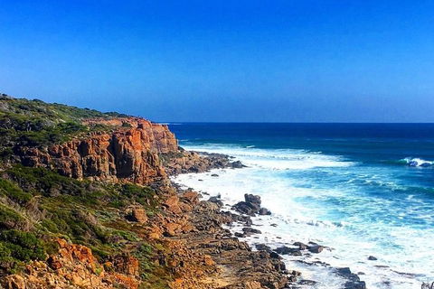 Guided Walks On The Cape To Cape - Wilyabrup Cliffs - Redcliffe Tourism 2