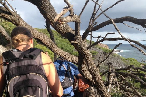Guided Walks On The Cape To Cape - Wilyabrup Cliffs - Redcliffe Tourism 6