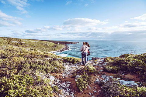 Guided Walks On The Cape To Cape - Wilyabrup Cliffs - Redcliffe Tourism 7