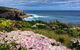 Guided Walks On The Cape To Cape - Wilyabrup Cliffs - thumb 3