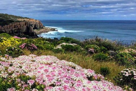 Guided Walks On The Cape To Cape - Wilyabrup Cliffs - Redcliffe Tourism 3