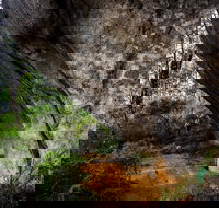 Porongurup Nature  History Eco Tour - Redcliffe Tourism