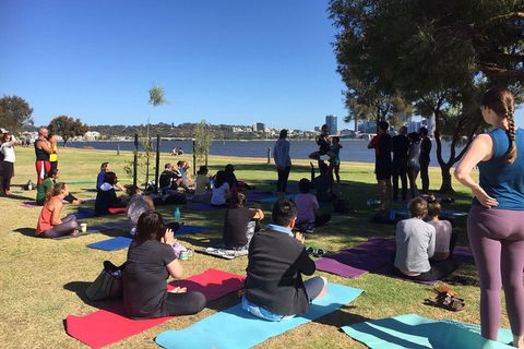 Yoga In The Park - Redcliffe Tourism 4