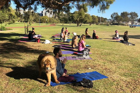 Yoga In The Park - Redcliffe Tourism 6