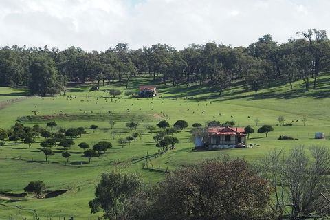 Perth Hills, York And Wave Rock 2 Day Private Tour - Redcliffe Tourism 1