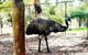Swan Valley Tour - thumb 9
