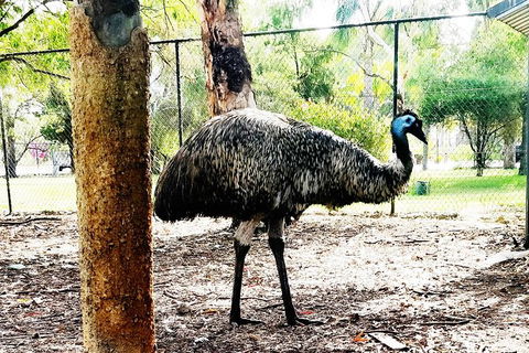 Swan Valley Tour - Redcliffe Tourism 9