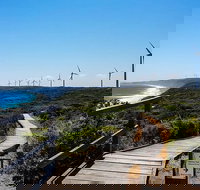 Torndirrup National Park and Bay Highlights - Redcliffe Tourism