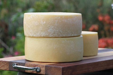 Porongurup Meet Your Maker Eco Tour - Redcliffe Tourism 0