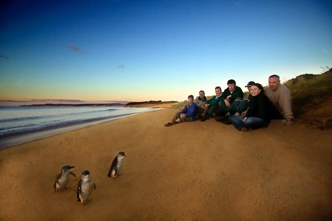  Redcliffe Tourism