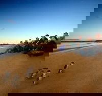 Phillip Island Ultimate Penguin Eco Tour or Skybox Experience - Redcliffe Tourism
