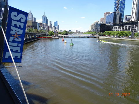 SEA LIFE Melbourne Aquarium Admission Ticket - Redcliffe Tourism 7