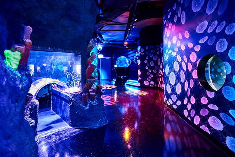 SEA LIFE Melbourne Aquarium Admission Ticket - Redcliffe Tourism 13