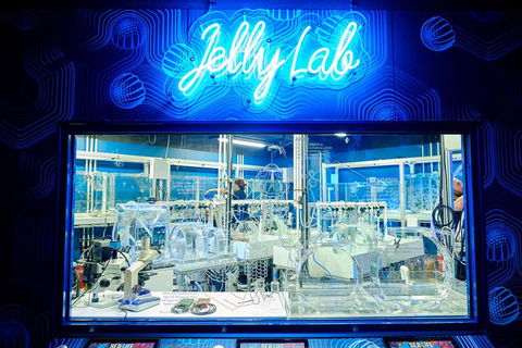 SEA LIFE Melbourne Aquarium Admission Ticket - Redcliffe Tourism 24