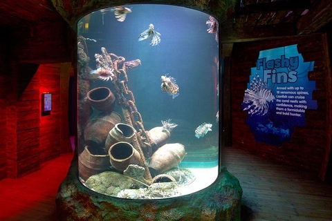 SEA LIFE Melbourne Aquarium Admission Ticket - Redcliffe Tourism 23