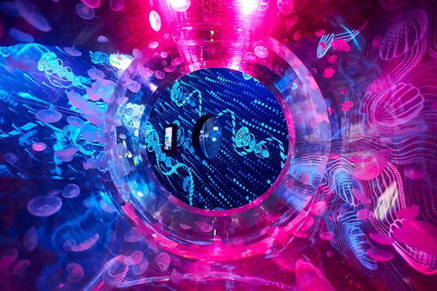 SEA LIFE Melbourne Aquarium Admission Ticket - Redcliffe Tourism 26