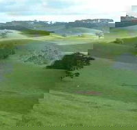 Day Tour of Phillip Island  Surrounding Region - Redcliffe Tourism