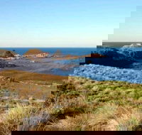 Phillip Island Walking  Bird Watching Tour - Redcliffe Tourism